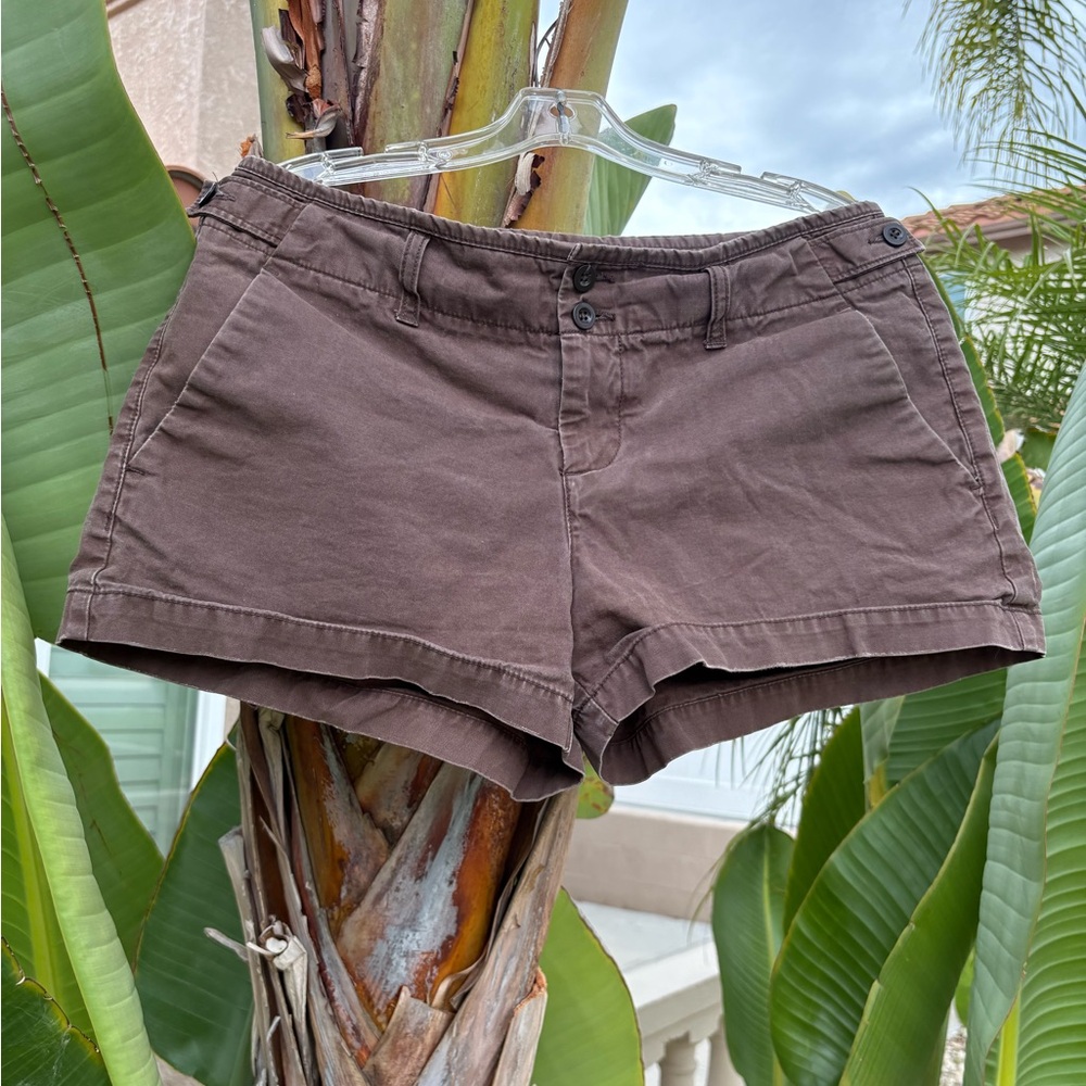 Gap Brown Women's Short Shorts Classic Favorite Chino
